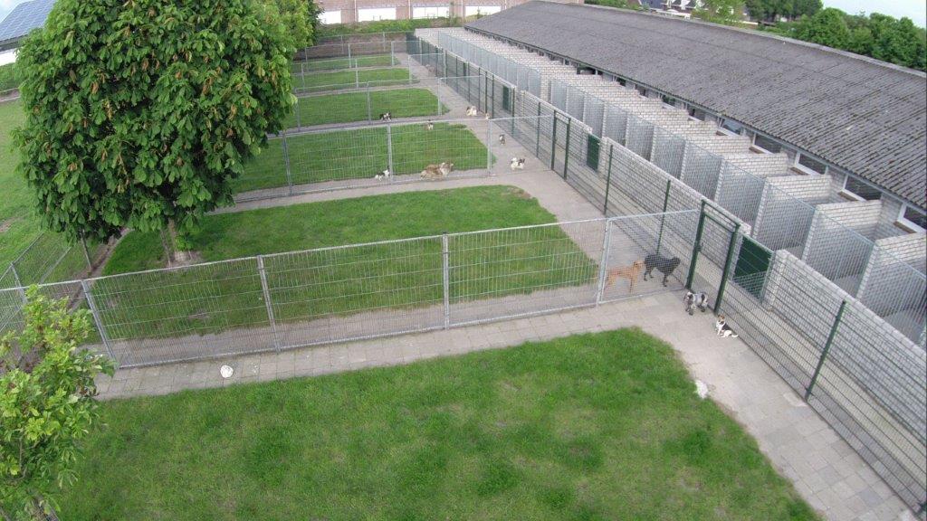 DierenpensionEilers12