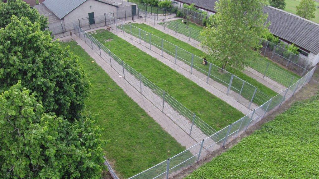 DierenpensionEilers13