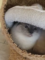 DierenpensionEilers05