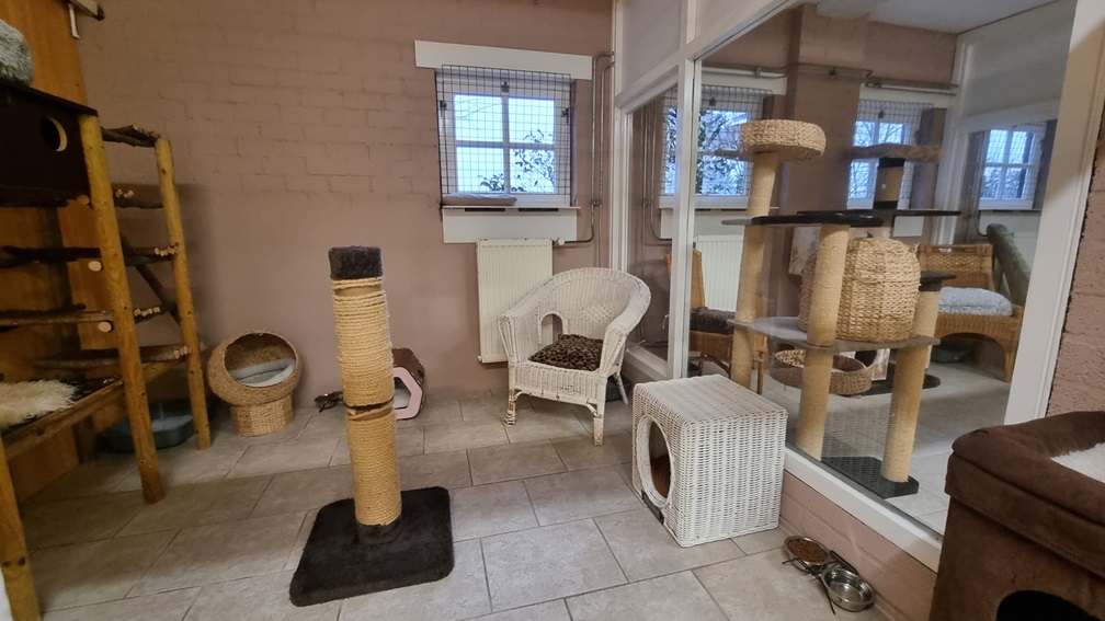 DierenpensionEilerskattenpension1